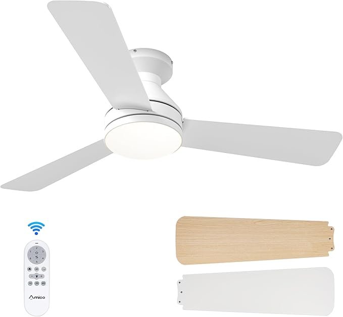 ceiling fan living room