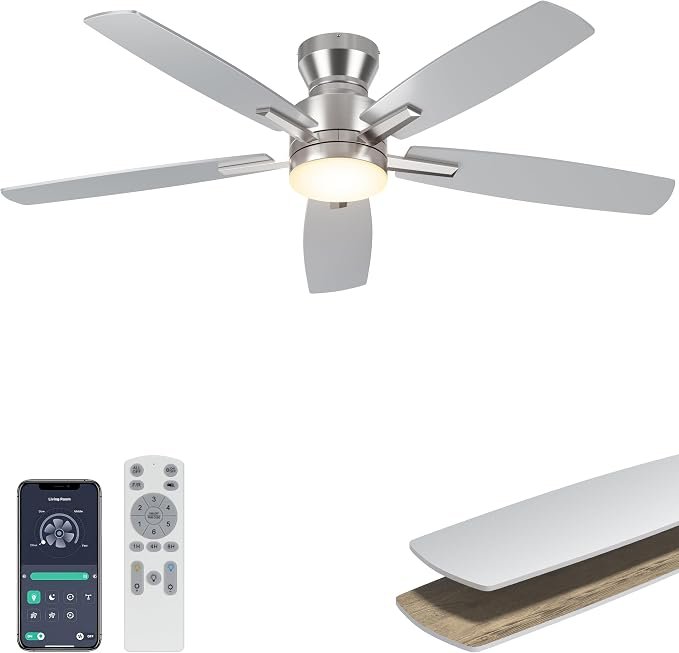 ceiling fan living room