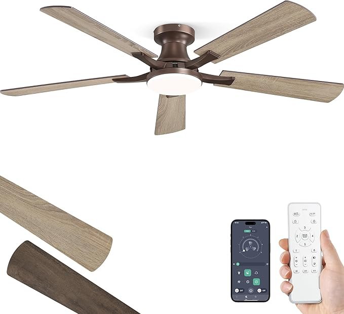 ceiling fan living room